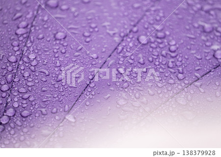 傘についた雨粒・梅雨・雨のイメージ 138379928