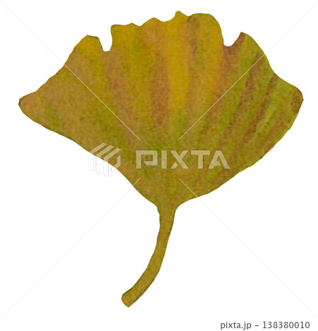 Fan-Shaped Ginkgo Leaf Illustration Fan-Shaped Ginkgo Leaf Illustration 138380010
