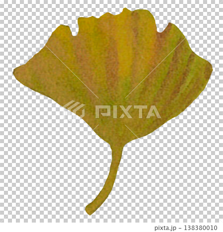 Fan-Shaped Ginkgo Leaf Illustration Fan-Shaped Ginkgo Leaf Illustration 138380010