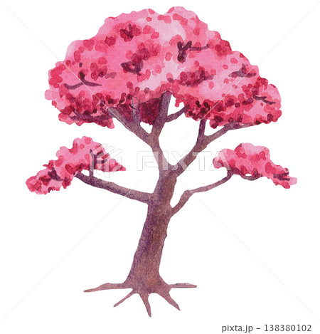 Full Sakura Blossom Tree Illustration 138380102