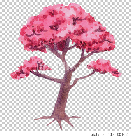 Full Sakura Blossom Tree Illustration 138380102