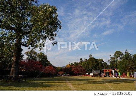 上賀茂神社の馬場の秋の風景 上賀茂神社の馬場の秋の風景 138380103