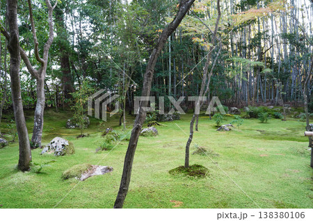 京都大徳寺高桐院の苔むした庭園 京都大徳寺高桐院の苔むした庭園 138380106