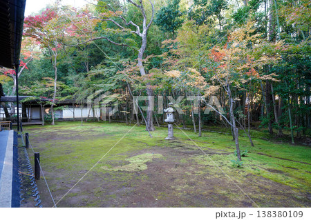 京都大徳寺高桐院の苔むした庭 138380109
