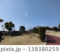 晴れた日の公園と遠くの観覧車 138380259