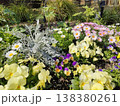 黄色・ピンク・白の花 138380261