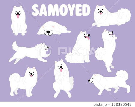 Samoyed dog cartoon illustration set Samoyed dog cartoon illustration set 138380545