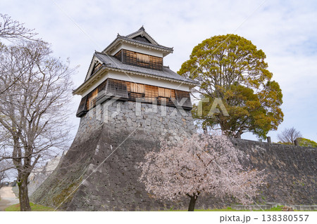 熊本城 未申櫓と満開の桜 熊本城 未申櫓と満開の桜 138380557