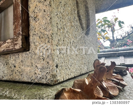 石灯籠と椿の実の殻の写真　6 138380897