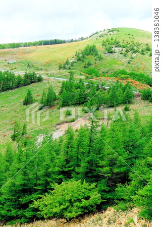 6月の美ヶ原高原 武石峰の周辺の景色 信州の風景 6月の美ヶ原高原 武石峰の周辺の景色 信州の風景 138381046