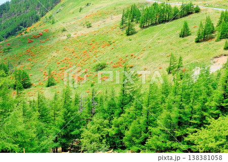 6月の美ヶ原高原　　　武石峰の周辺の景色　　　信州の風景 138381058