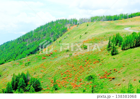 6月の美ヶ原高原 武石峰の周辺の景色 信州の風景 6月の美ヶ原高原 武石峰の周辺の景色 信州の風景 138381068