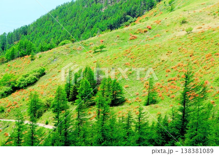 6月の美ヶ原高原 武石峰の周辺の景色 信州の風景 6月の美ヶ原高原 武石峰の周辺の景色 信州の風景 138381089