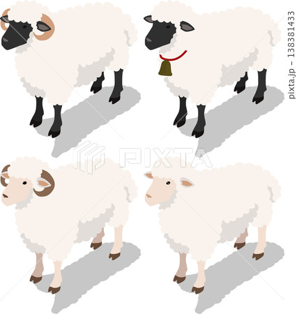 Isometric sheep livestock illustration 138381433
