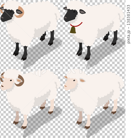 Isometric sheep livestock illustration 138381433
