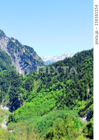 5月の黒部ダム　　　信州の自然　　　信州の風景　　　信州の景色 138381554