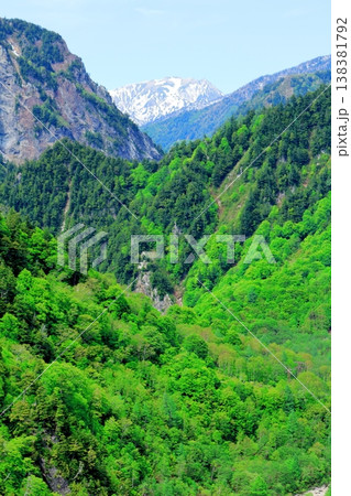 5月の黒部ダム　　　信州の自然　　　信州の風景　　　信州の景色 138381792