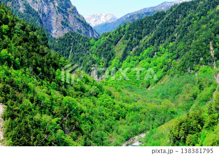 5月の黒部ダム　　　信州の自然　　　信州の風景　　　信州の景色 138381795