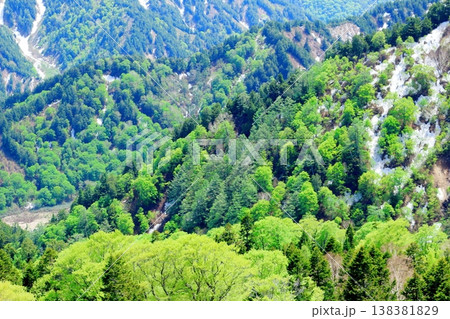 5月の黒部ダム　　　信州の自然　　　信州の風景　　　信州の景色 138381829