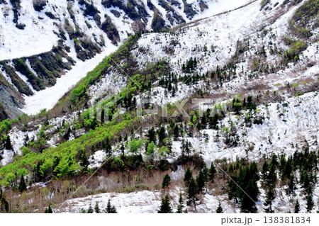 5月の黒部ダム　　　信州の自然　　　信州の風景　　　信州の景色 138381834