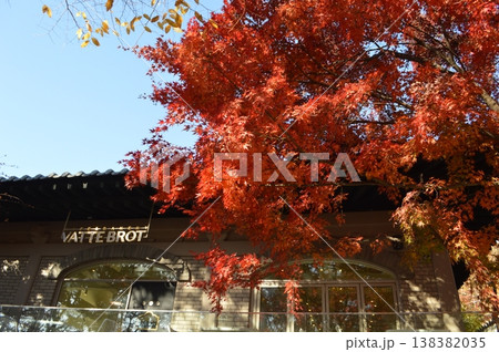 韓国 広州市 南漢山城の紅葉 韓国 広州市 南漢山城の紅葉 138382035