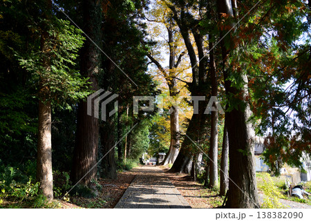 西念寺の紅葉 2025-11-16 #2 西念寺の紅葉 2025-11-16 #2 138382090