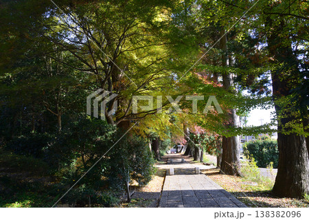 西念寺の紅葉 2025-11-16 #8 西念寺の紅葉 2025-11-16 #8 138382096