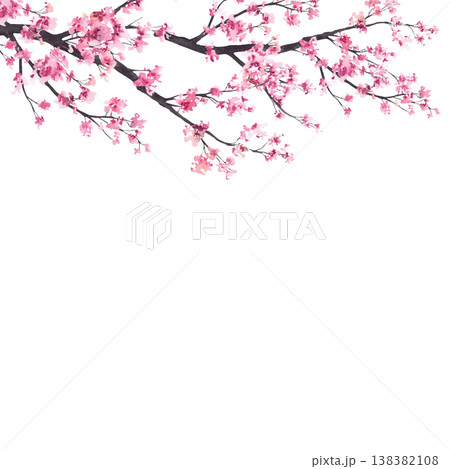 Blooming sakura branch frame. Watercolor painted Japan pink cherry tree. Hand drawn illustration.Floral asian springtime template isolated from background for Hanami festival, greeting card design. Blooming sakura branch frame. Watercolor painted Japan pink cherry tree. Hand drawn illustration.Floral asian springtime template isolated from background for Hanami festival, greeting card design. 138382108