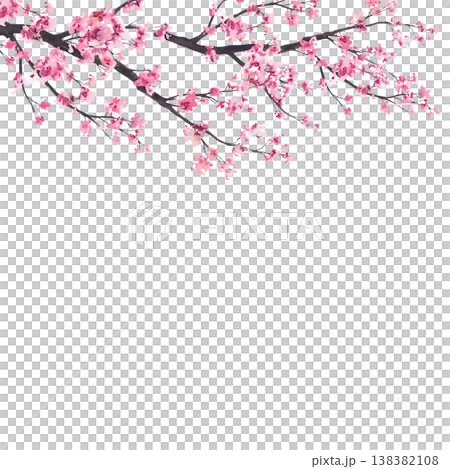 Blooming sakura branch frame. Watercolor painted Japan pink cherry tree. Hand drawn illustration.Floral asian springtime template isolated from background for Hanami festival, greeting card design. Blooming sakura branch frame. Watercolor painted Japan pink cherry tree. Hand drawn illustration.Floral asian springtime template isolated from background for Hanami festival, greeting card design. 138382108