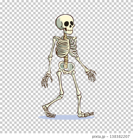 動きのある骨格、可愛い骸骨のイラスト、歩いている 138382207