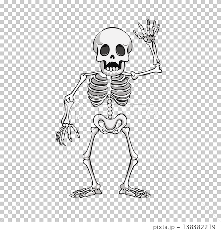 動きのある骨格、可愛い骸骨のイラスト 動きのある骨格、可愛い骸骨のイラスト 138382219