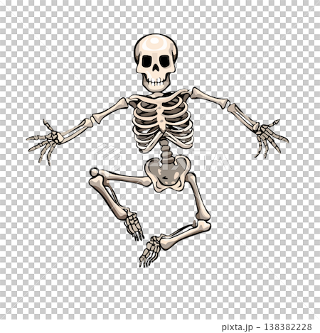 A dynamic skeleton, a cute illustration of a skeleton A dynamic skeleton, a cute illustration of a skeleton 138382228