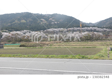 山笑う、春 山笑う、春 138382348