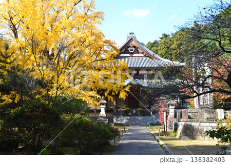 西念寺の紅葉 2025-11-16 #16 西念寺の紅葉 2025-11-16 #16 138382403