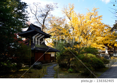 西念寺の紅葉 2025-11-16 #18 西念寺の紅葉 2025-11-16 #18 138382405