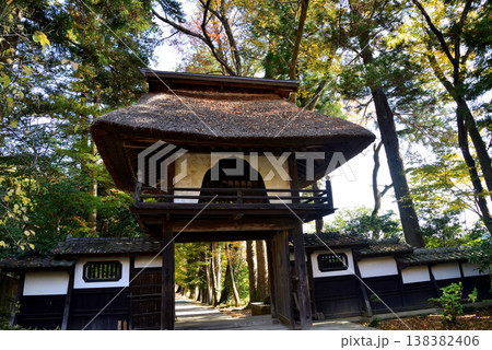西念寺の紅葉 2025-11-16 #19 西念寺の紅葉 2025-11-16 #19 138382406