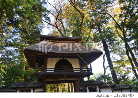 西念寺の紅葉　2025-11-16　＃20 138382407