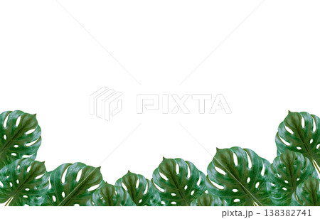 Green leaves separated from the spreading background color cliping part 138382741