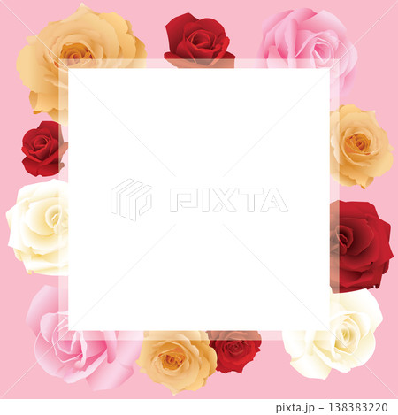 Blank white square frame with roses various colors on pink background 138383220