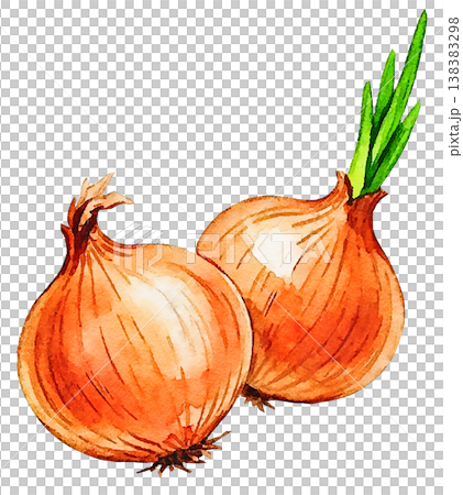 Hand-painted watercolor vegetable recipe menu cooking class 138383298