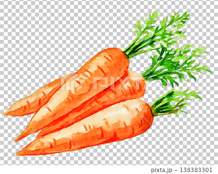 手描き水彩野菜レシピメニュー料理教室 138383301