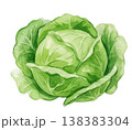 手描き水彩野菜レシピメニュー料理教室 138383304