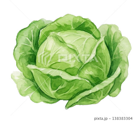 手描き水彩野菜レシピメニュー料理教室 138383304