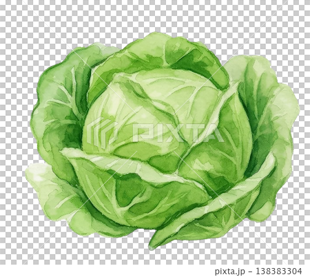 Hand-painted watercolor vegetable recipe menu cooking class 138383304