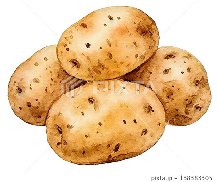 手描き水彩野菜レシピメニュー料理教室 138383305