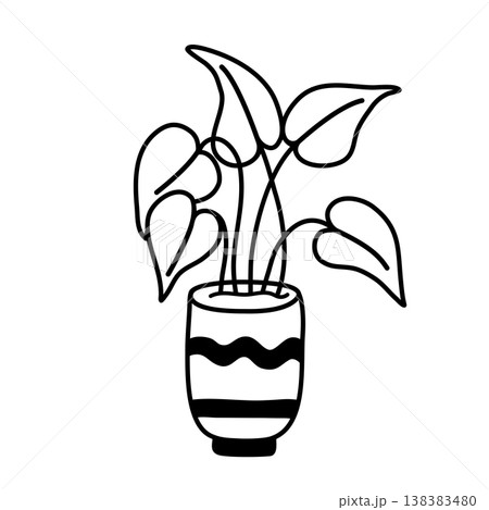 Houseplant in clay pot doodle illustration 138383480