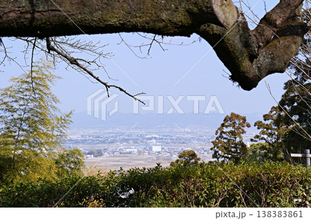 京都　八幡市　古木と久我山町並み（八幡宮山上駅付近から）（初春） 138383861