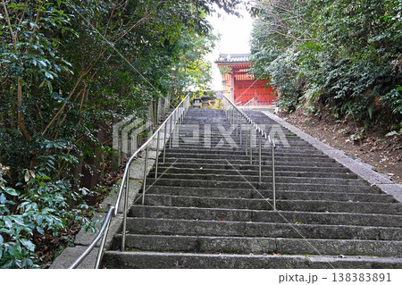 京都 八幡市 石清水八幡宮 東総門と石段(初春) 京都 八幡市 石清水八幡宮 東総門と石段(初春) 138383891