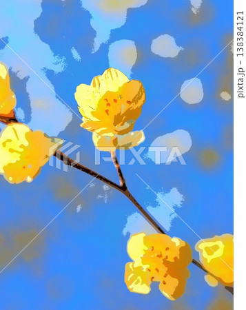 春光注ぐ、ひゅうがみずきの花（afr20260327152823） 138384121