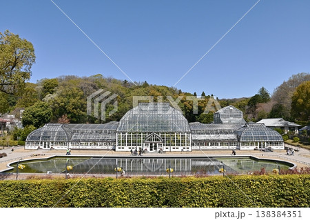 東山植物園温室前館 138384351